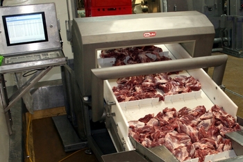Detector de metales en forma de túnel METRON 05 CI – control de productos cárnicos en la industria alimentaria