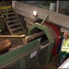 Detector de metales en forma de túnel METRON 05 CO para la industria de la madera