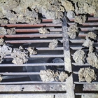 Parrilla magnética MR 850x450 N