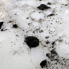 Filtro magnético de flujo para tuberías MSP-S 50 N OCTOPUS